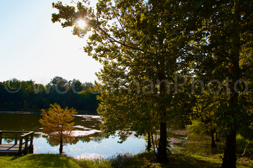 At_the_Lagoon