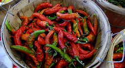 DSCF0458