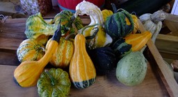 DSCF0460