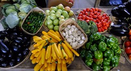 DSCF0464