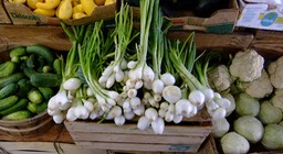 DSCF0472