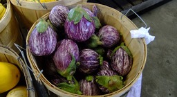DSCF0473