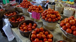 DSCF0474