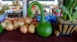 DSCF0477