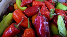 DSCF0480