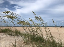 East_Beach