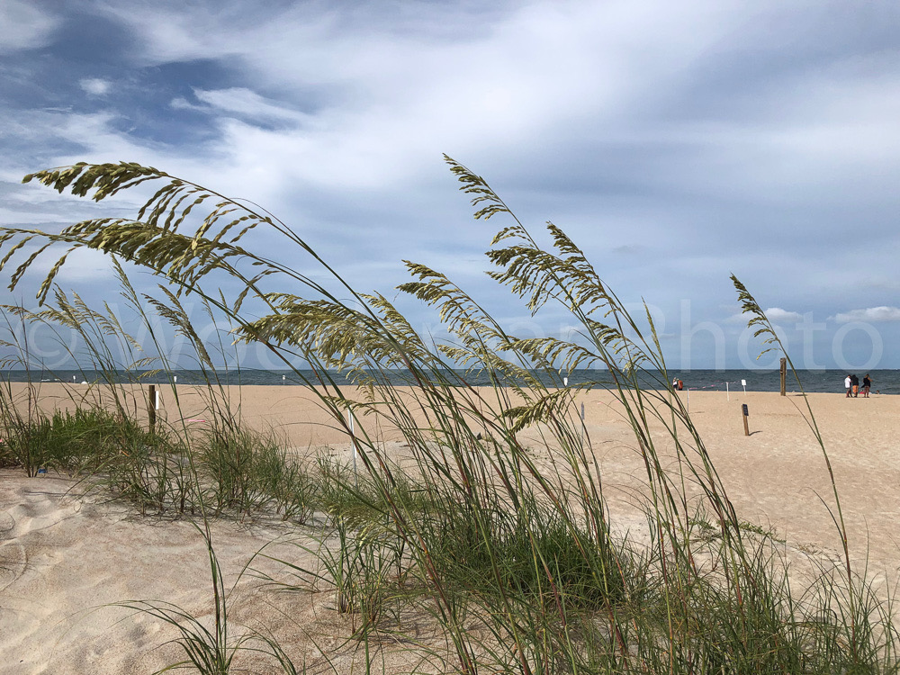 East_Beach