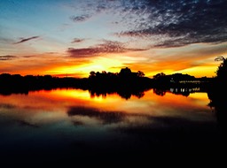IMG_1846