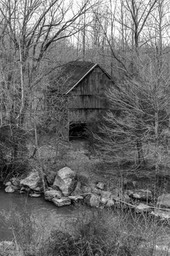 IMG_2799