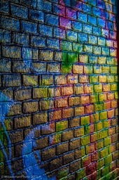 IMG_6359