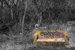 IMG_6377