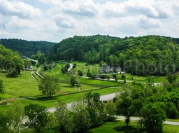 IMG_6973