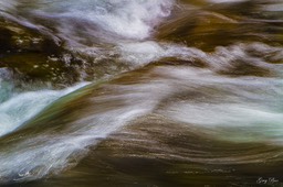 IMG_7028