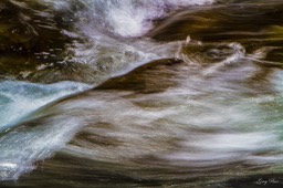 IMG_7029