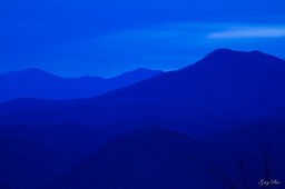 IMG_7115