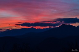 IMG_7201