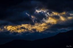 IMG_7247