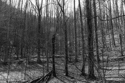 IMG_7256