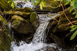 IMG_7296