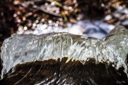 IMG_7682