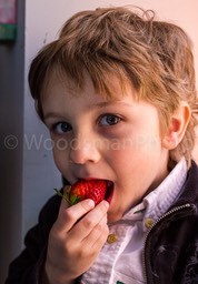 IMG_8616-2