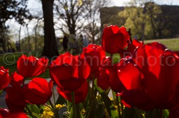 IMG_8846