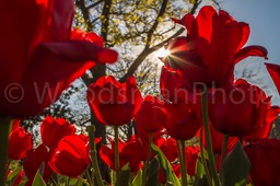 IMG_8873-2