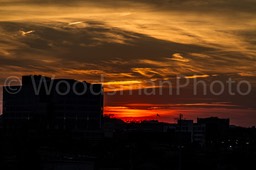 IMG_9461-2
