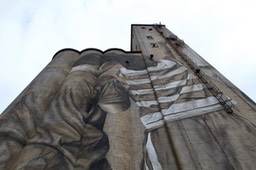 Silo Boys