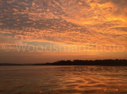 Sky_of_Fire