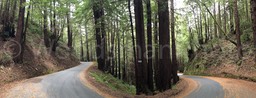 Tunitis_Canyon_Pano